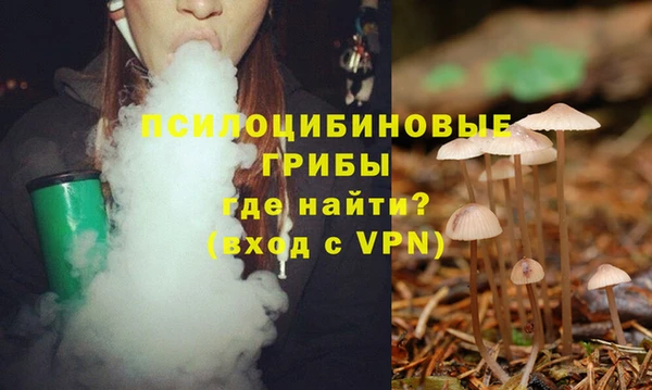 apvp Белоозёрский