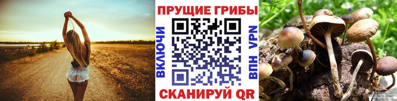 даркнет клад  Вязьма  Галлюциногенные грибы прущие грибы  гидра ссылка 