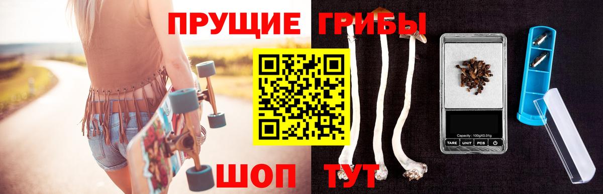Галлюциногенные грибы Psilocybine cubensis Вязьма